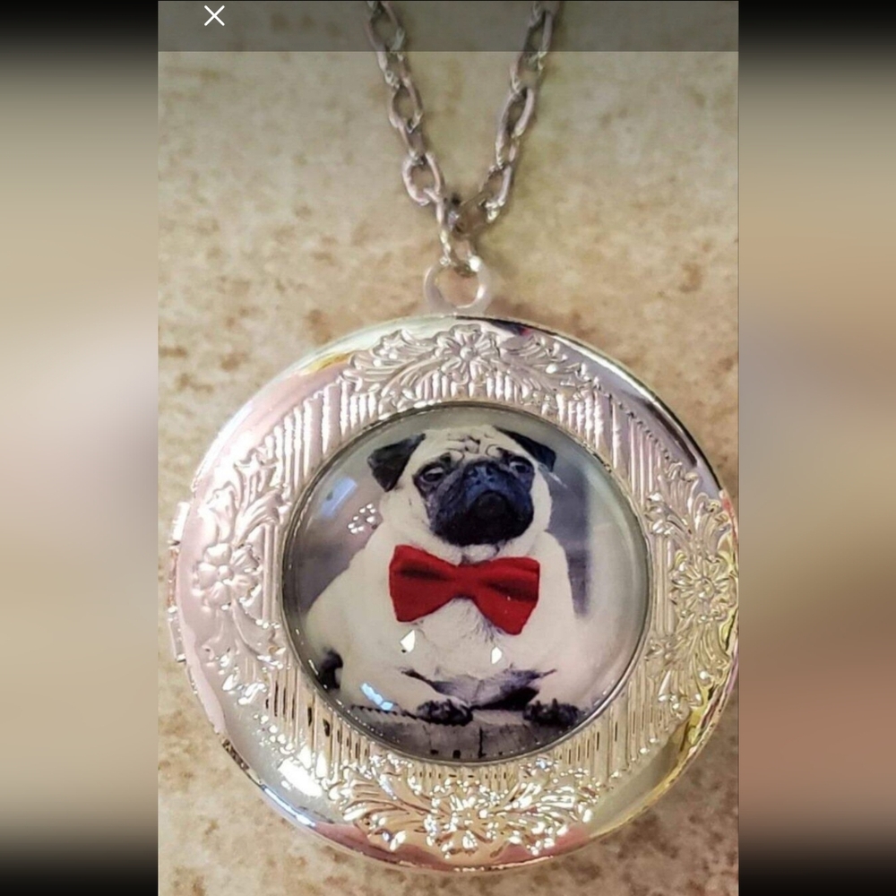 New silver tone pug locket necklace